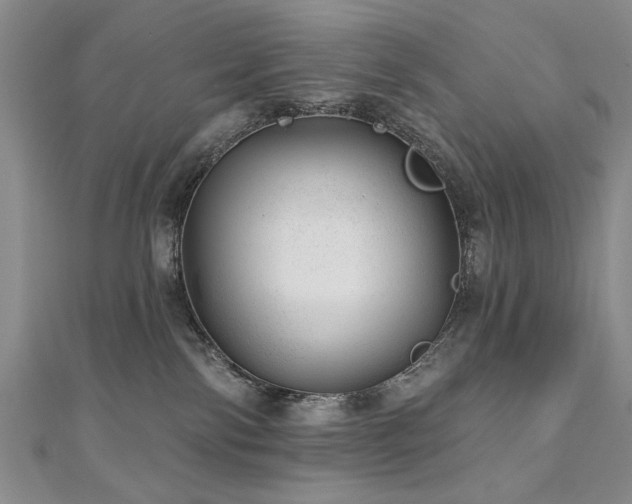 X0000110880138200906181233