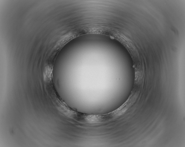 X0000110880142200906181233