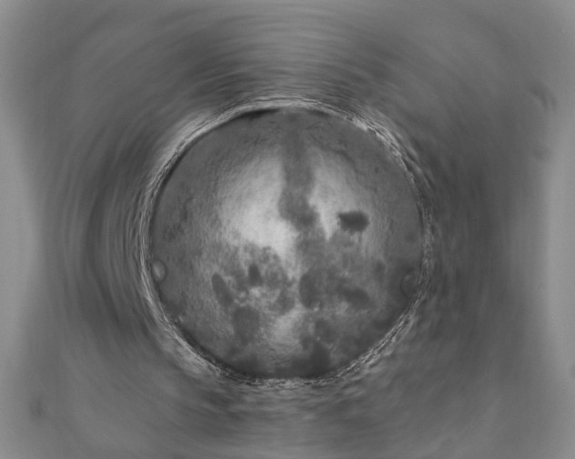 X0000110880145200906181232