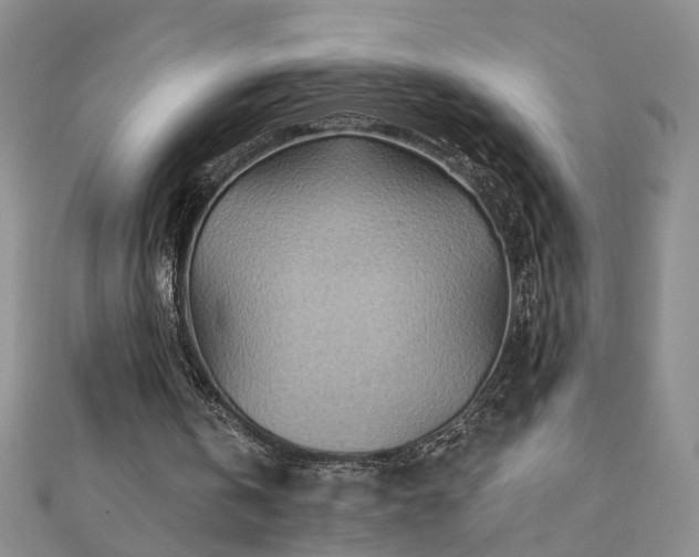 X0000110880146200906181232