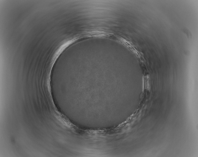 X0000110880147200906181232