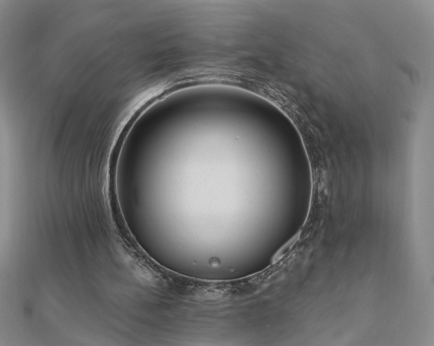 X0000110880148200906181232