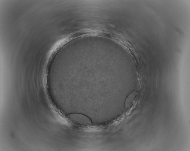 X0000110880149200906181232