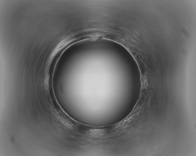 X0000110880150200906181232