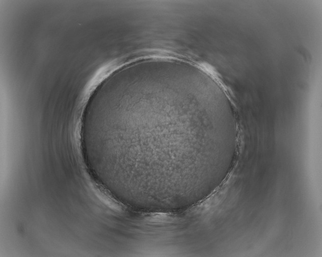X0000110880151200906181232