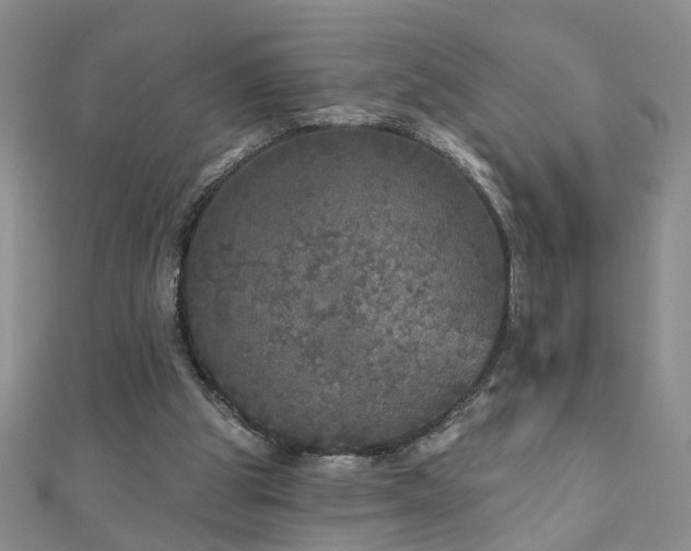 X0000110880153200906181232