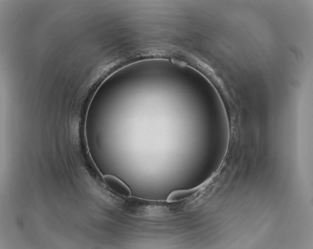 X0000110880154200906181232