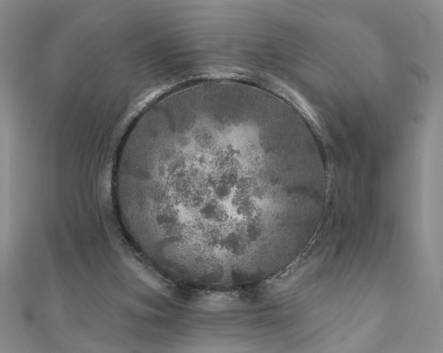 X0000110880155200906181232
