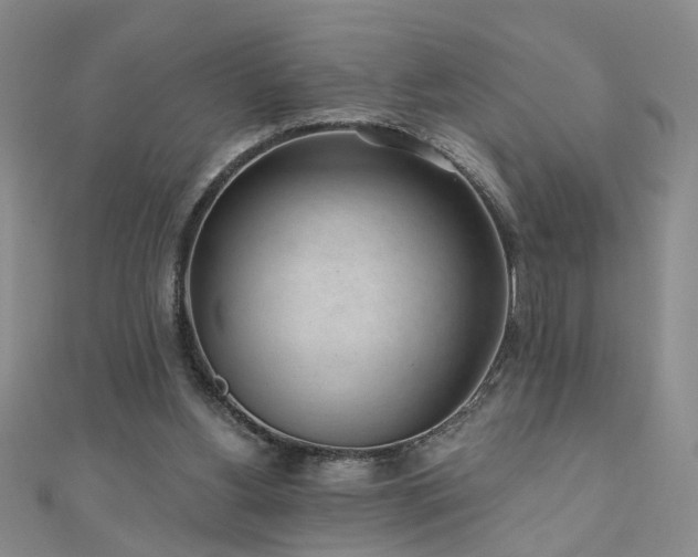 X0000110880156200906181232