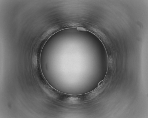 X0000110880158200906181232