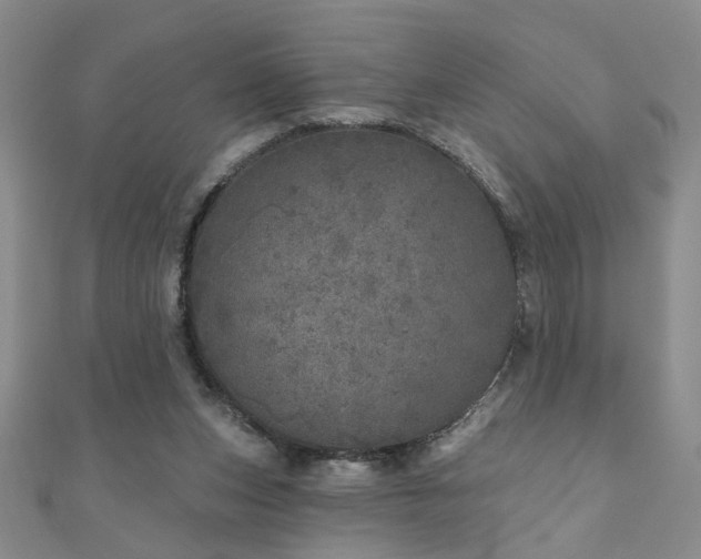 X0000110880159200906181232