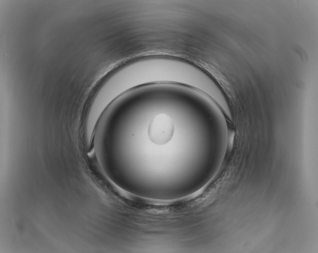 X0000110880160200906181232