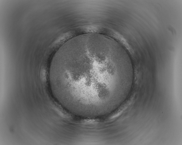 X0000110880161200906181232