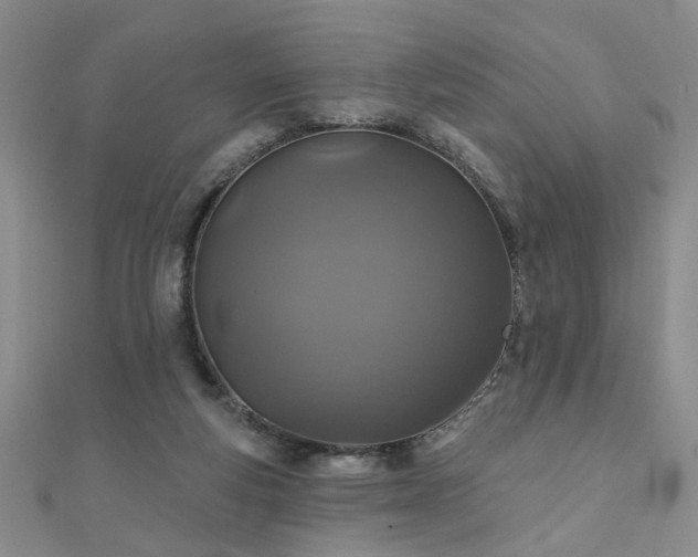 X0000110880163200906181232