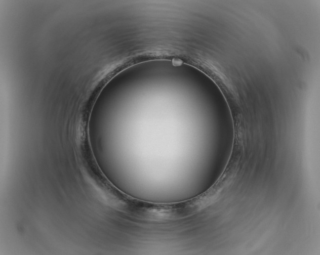 X0000110880164200906181232