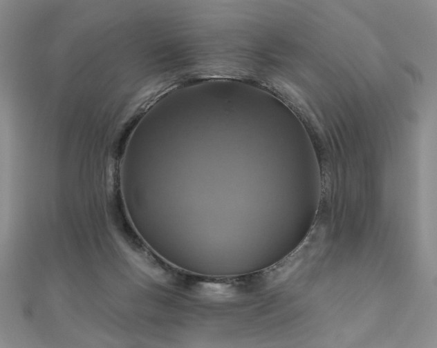 X0000110880167200906181233