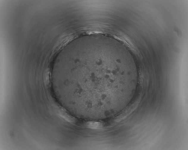 X0000110880169200906181233