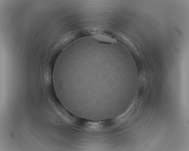 X0000110880170200906181233