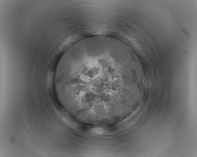 X0000110880171200906181233