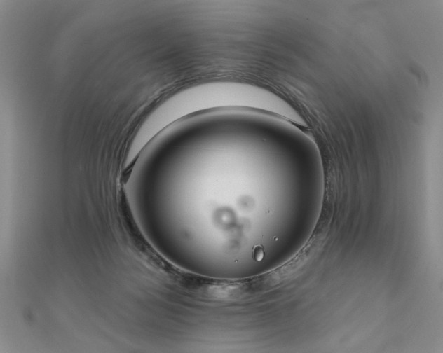 X0000110880172200906181233