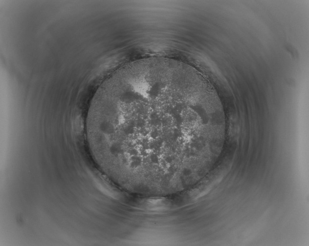 X0000110880173200906181233