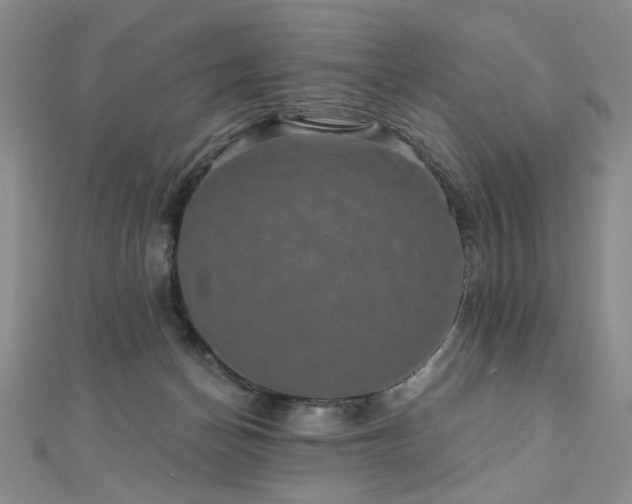 X0000110880174200906181233