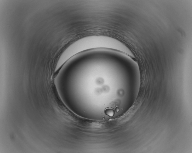 X0000110880176200906181233