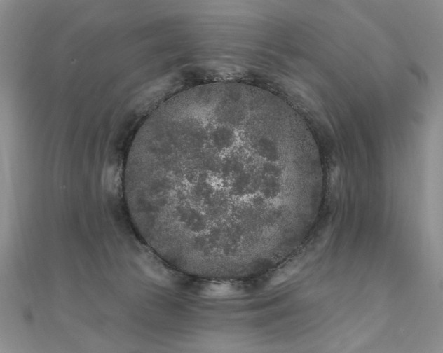 X0000110880177200906181233