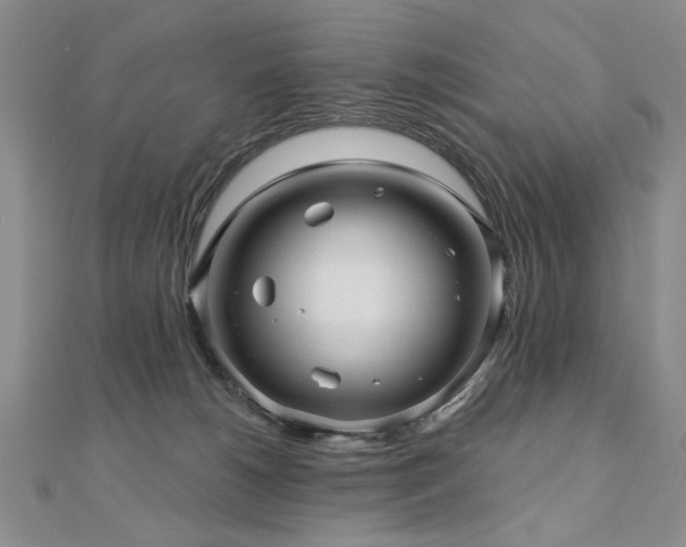 X0000110880180200906181233