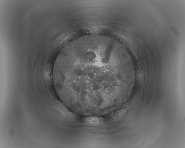 X0000110880181200906181233