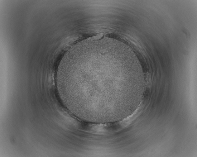 X0000110880182200906181233