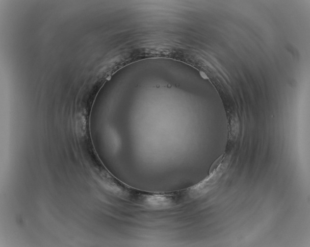 X0000110880183200906181233