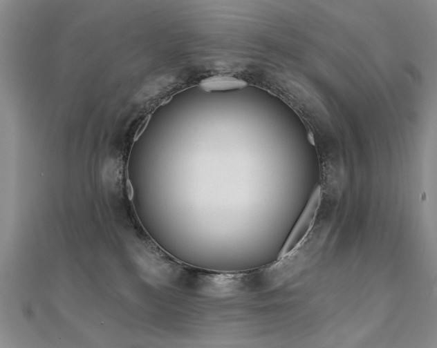 X0000110880184200906181233