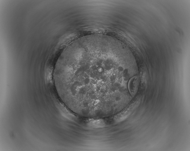 X0000110880185200906181233