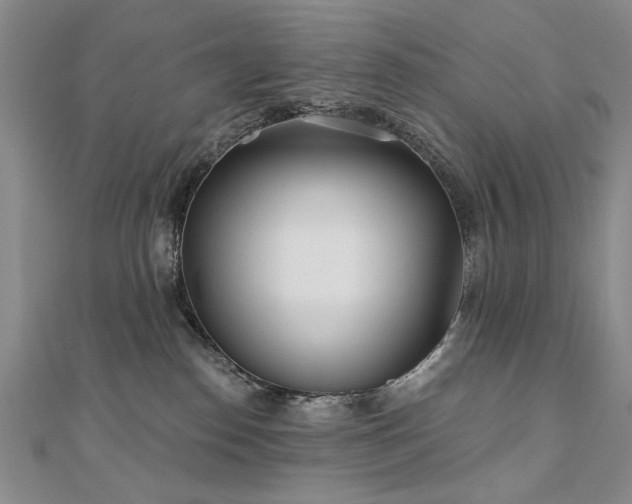 X0000110880186200906181233
