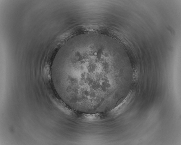 X0000110880187200906181233