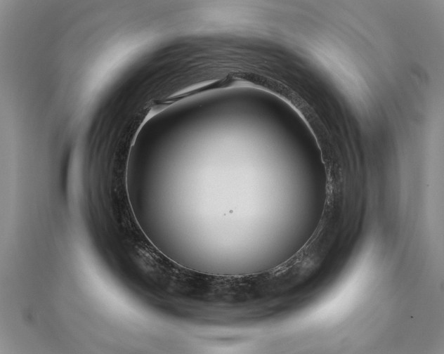 X0000110880190200906181233