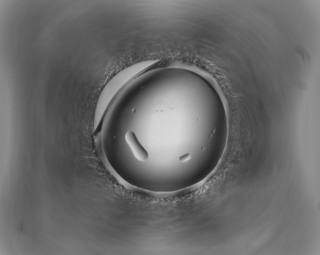 X0000110880192200906181233