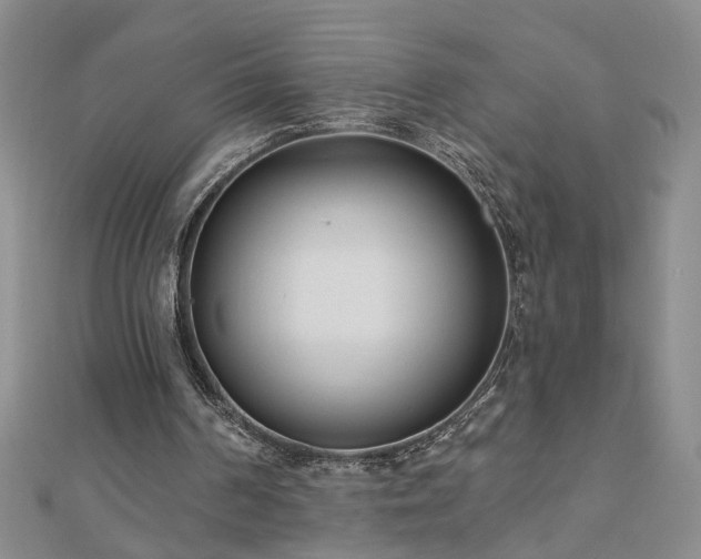 X0000110880194200906181232