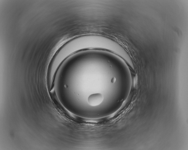 X0000110880195200906181232