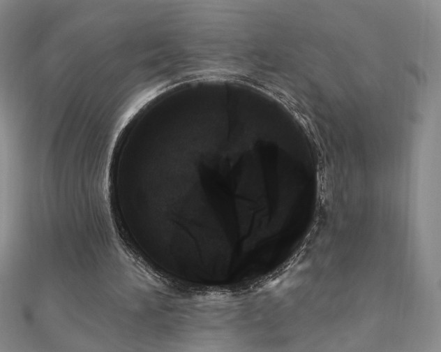X0000110880196200906181232