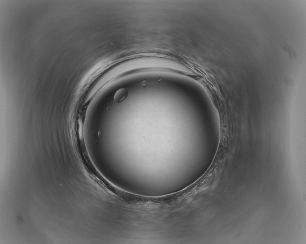 X0000110880197200906181232
