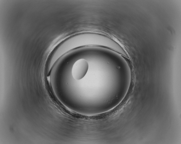 X0000110880199200906181232
