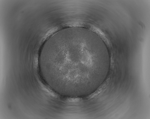 X0000110880202200906181232