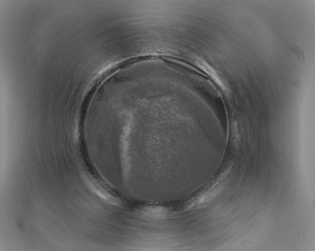 X0000110880203200906181232