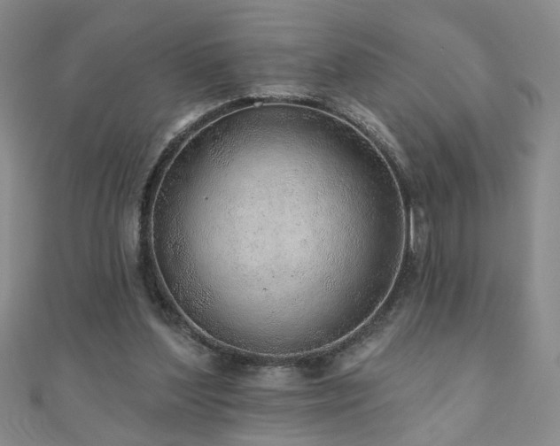 X0000110880204200906181232