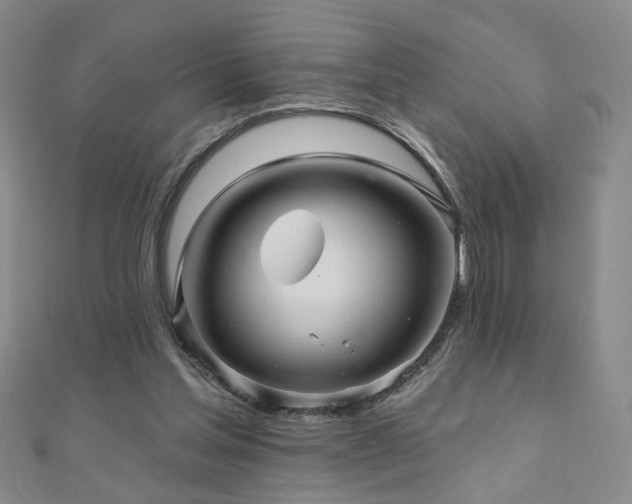 X0000110880205200906181232