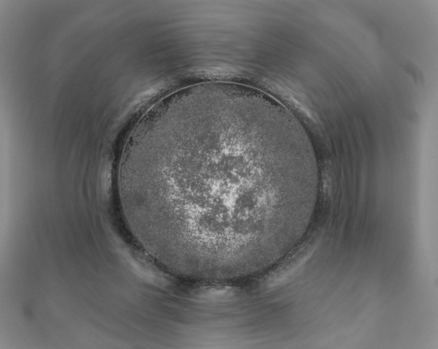 X0000110880206200906181232