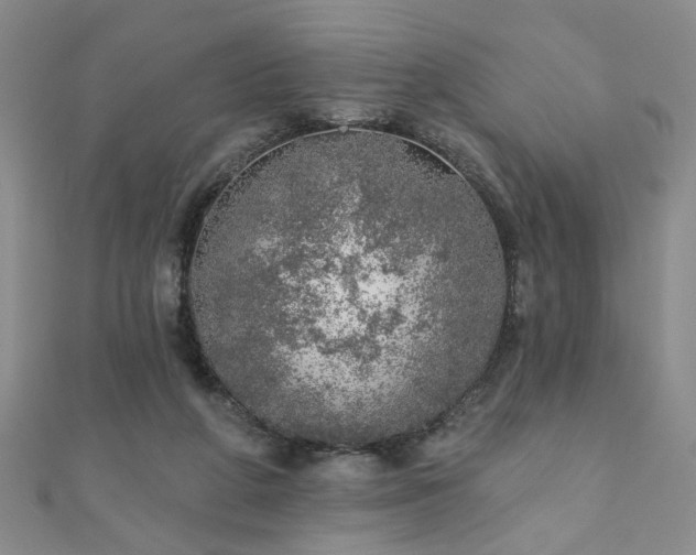 X0000110880210200906181232