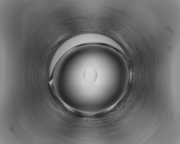 X0000110880211200906181232
